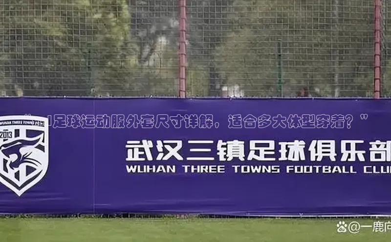 人人看球app下载文心一言