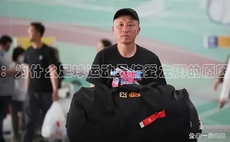 人人体育赛事直播猫眼