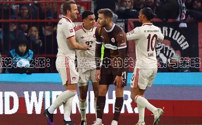 人人体育app官方版