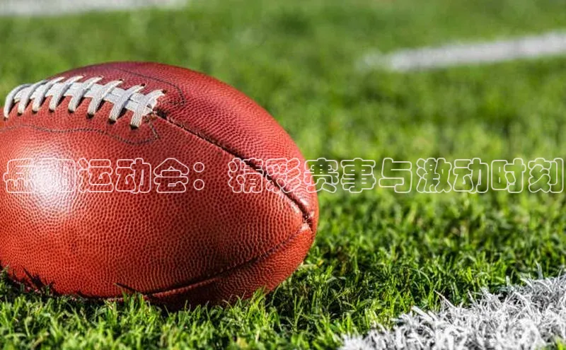 人人体育手机版