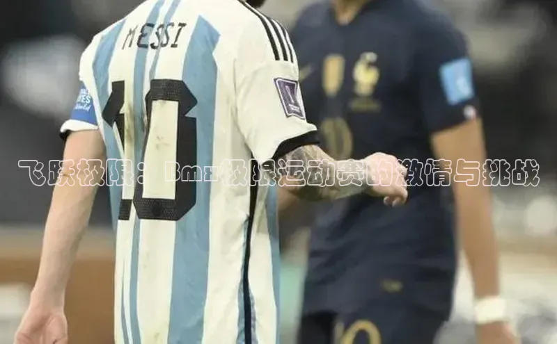 人人体育app安卓版