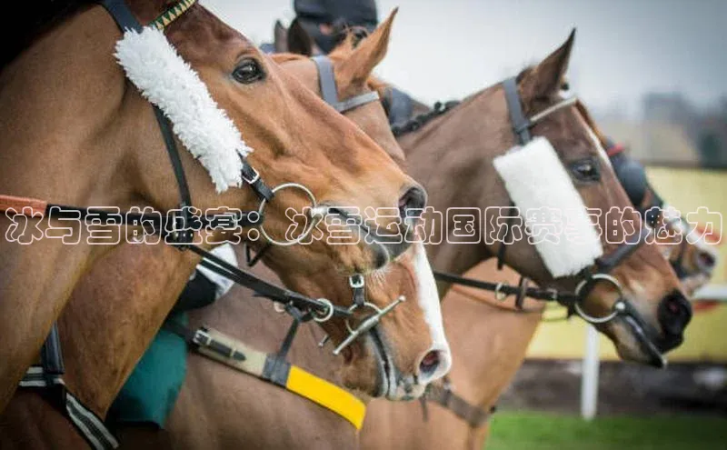 人人体育手机版